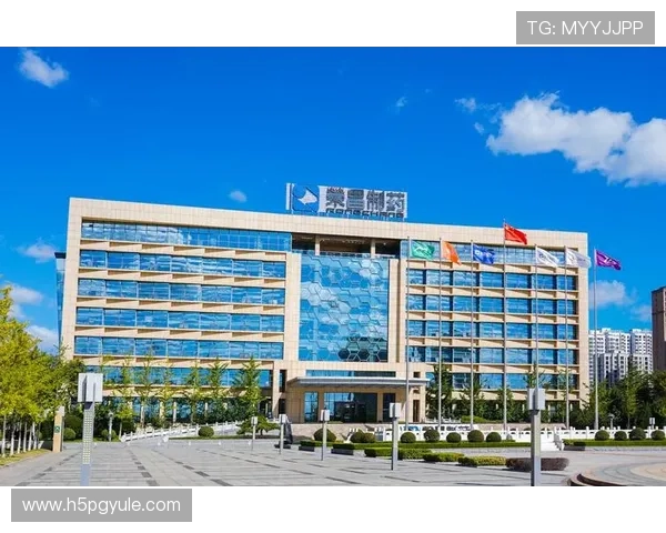 凯发k8国际：专业的客户服务团队全天候为玩家提供贴心支持与帮助